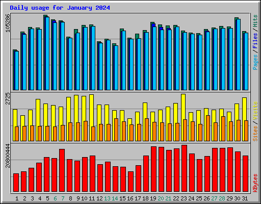 Daily usage for January 2024