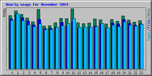 Hourly usage for November 2024