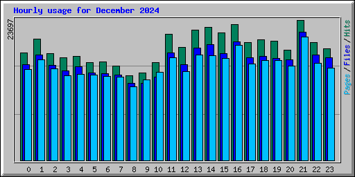 Hourly usage for December 2024