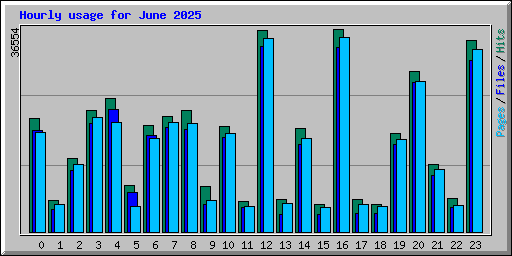 Hourly usage for June 2025