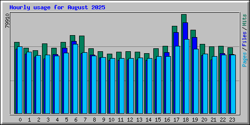 Hourly usage for August 2025