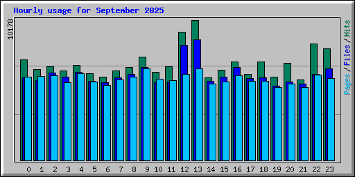 Hourly usage for September 2025