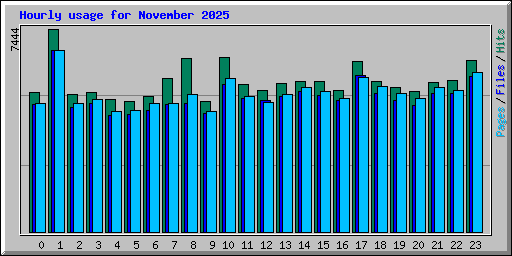 Hourly usage for November 2025