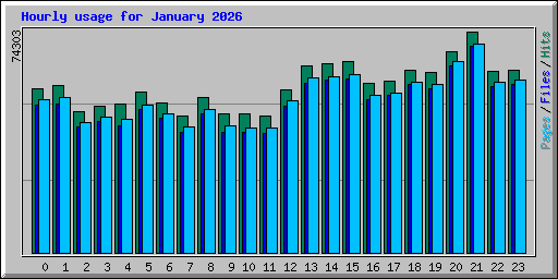 Hourly usage for January 2026